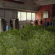 Oil Distillation