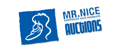 Mr. Nice Auctions