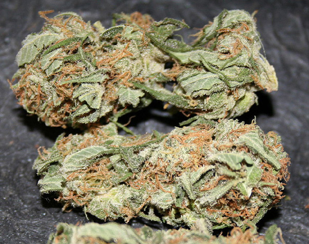 Early Haze